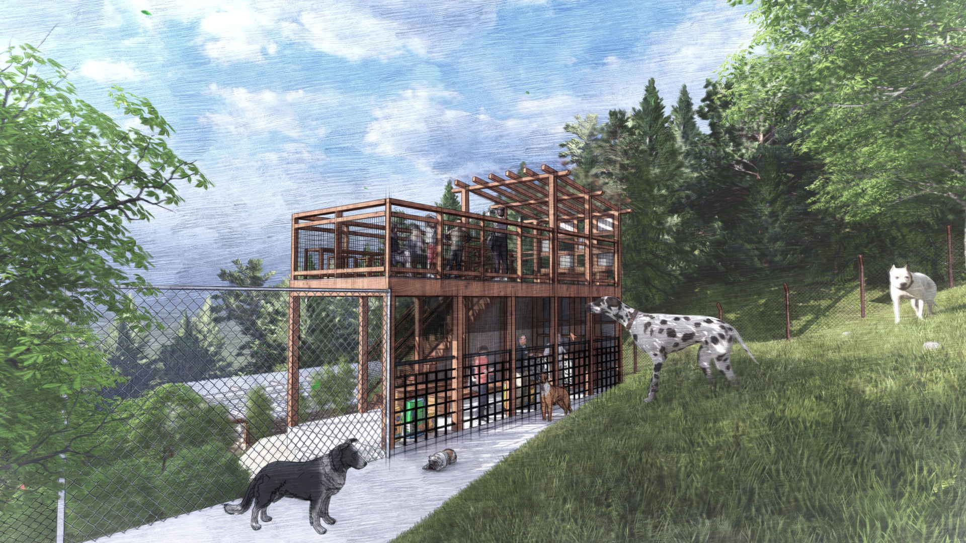 Dog Shelter 05